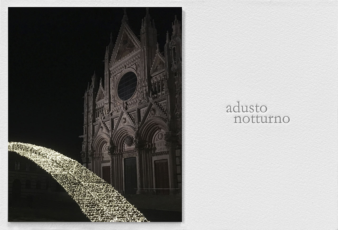 Sabrina-D_Alessandro-adusto-notturno