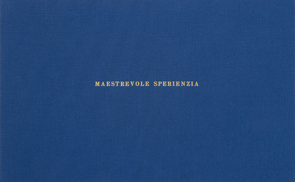 Sabrina_DAlessandro-maestrevole-sperienzia-parola-leonardoparlante